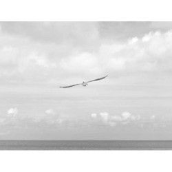 Sleek Steel Plate fr-FR